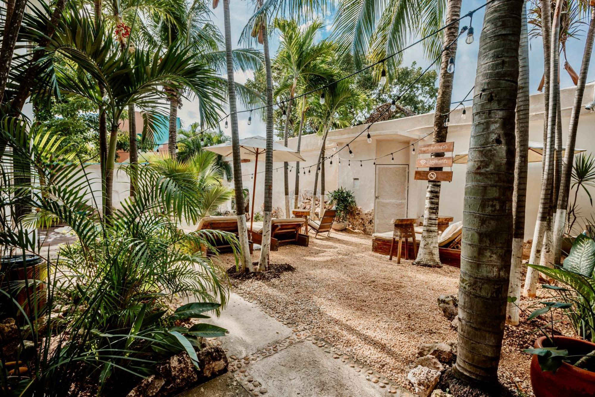 Mezcal Hotel Cancún Extérieur photo
